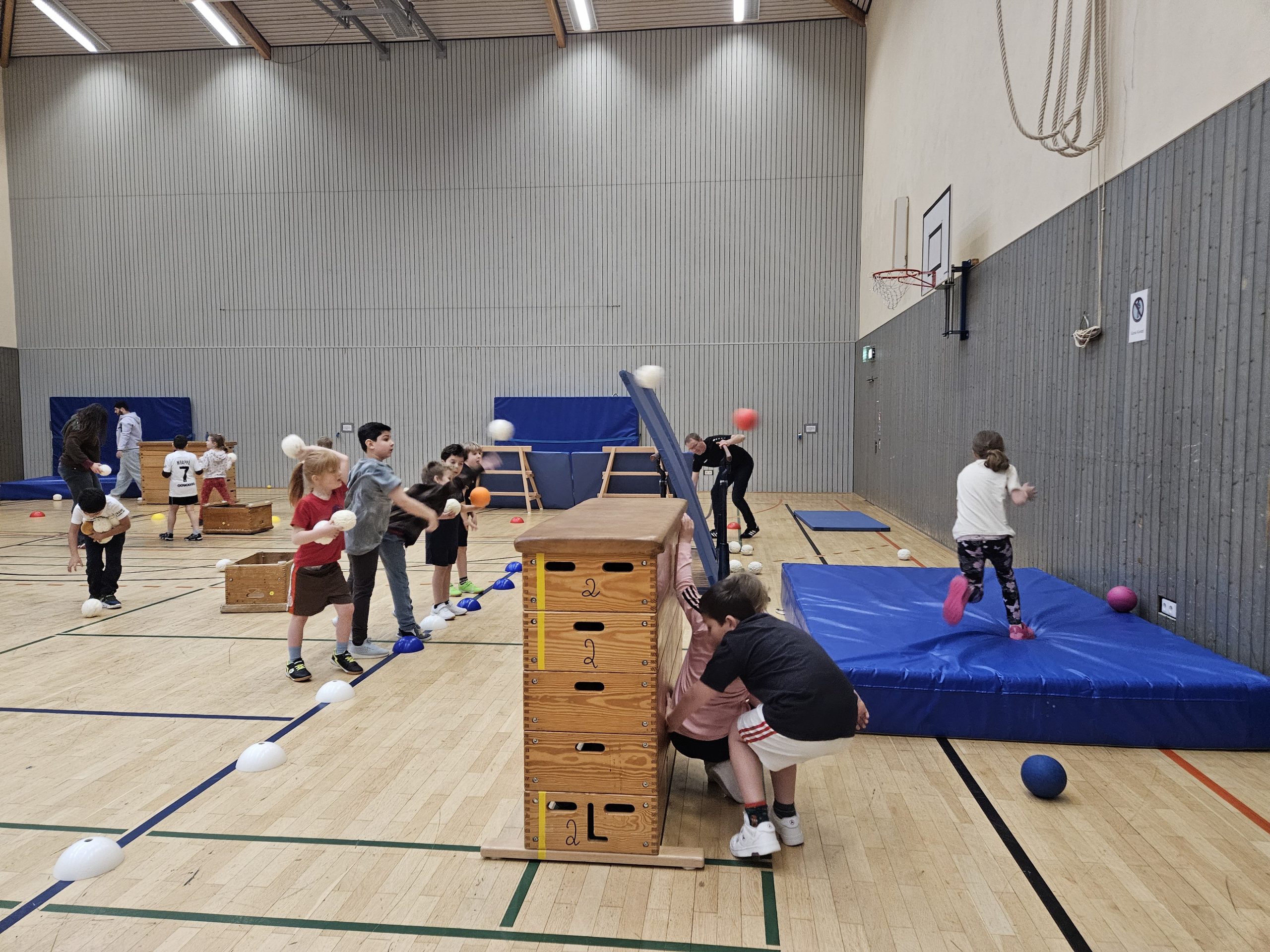 Der Zauberwald erwacht