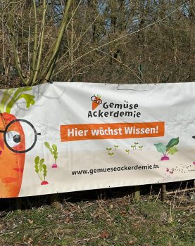 Neuer Schulgarten wächst – gemeinsames Projekt mit der GemüseAckerdemie