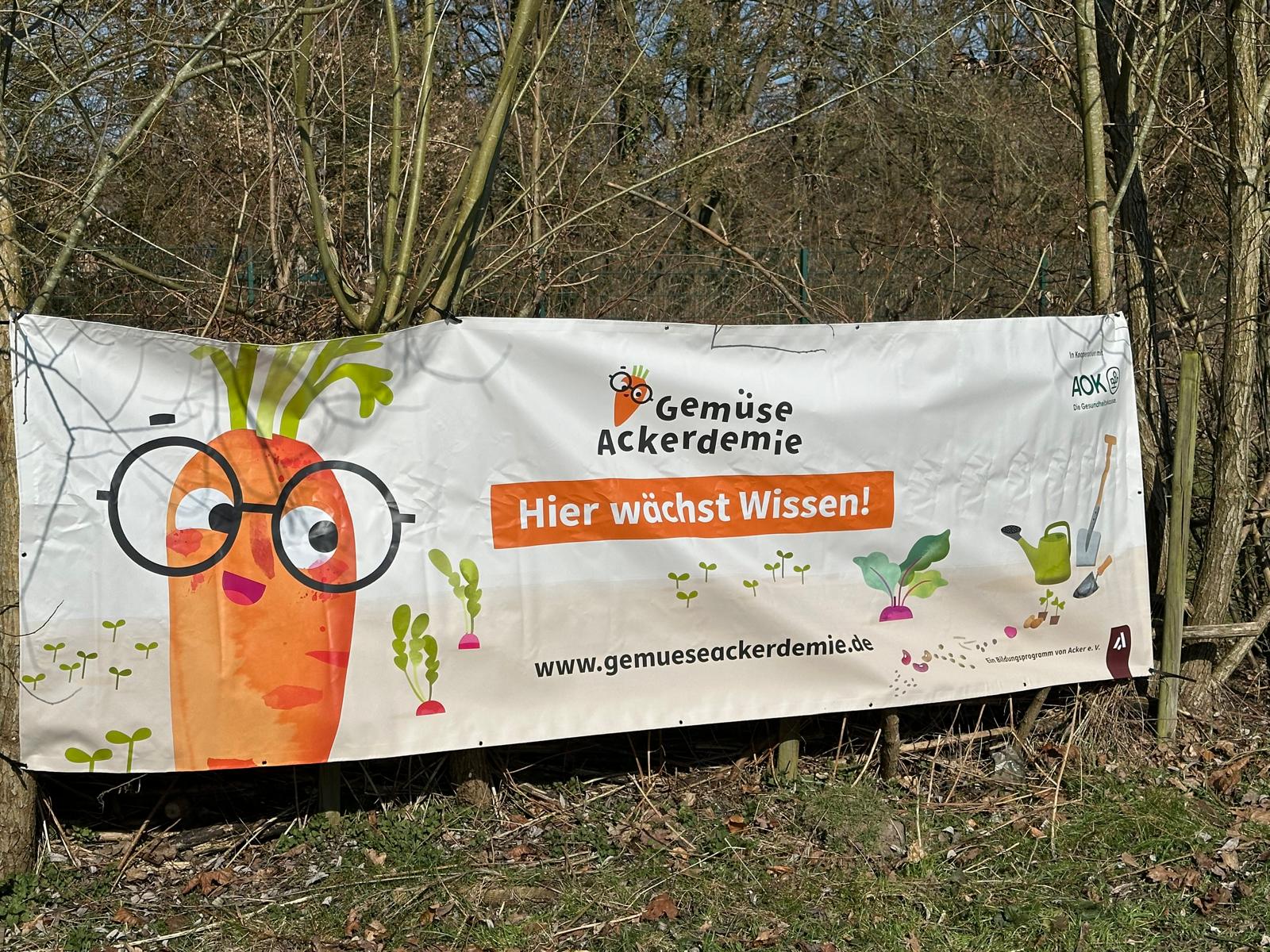 Neuer Schulgarten wächst – gemeinsames Projekt mit der GemüseAckerdemie